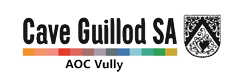 Logo_caveguillodsa-Vully